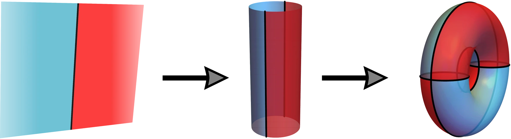 A flat sheet divided into red and blue magnetic regions, then rolled into a cylinder, then closed into a torus.
